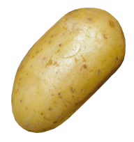 aardappel